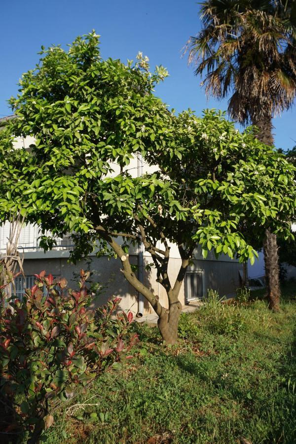 Apartment Nena Zadar Exterior photo